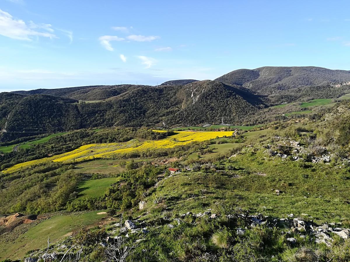 Lo Cel De Tolo Guest House Eksteriør bilde